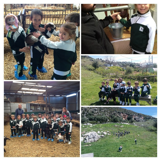 Educación Infantil Visita a la Quesería Sierra Crestellina, en Casares-2