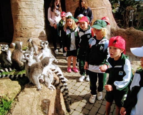 Educación Infantil Visitamos Bioparc Fuengirola