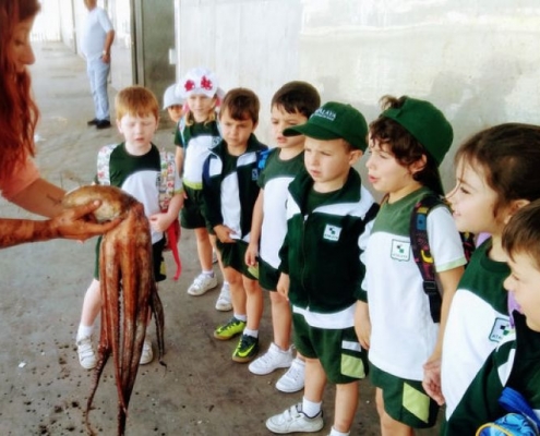 [Educación Infantil] EI5 visita el Puerto de Estepona