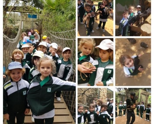 Excursión al Zoo de Castellar - 5 años